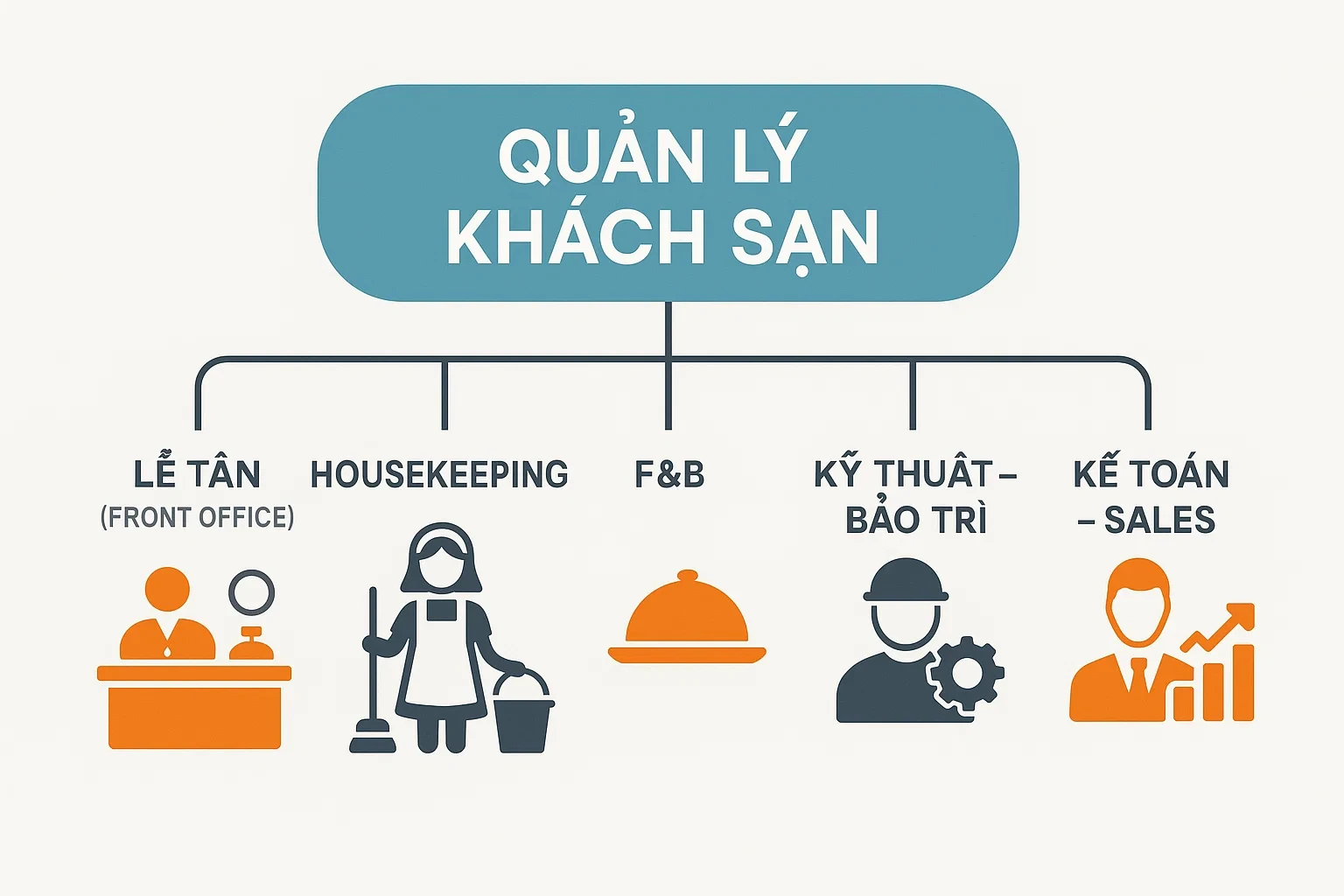 Sơ đồ tổ chức khách sạn tiêu chuẩn 2–3 sao (30–80 phòng)