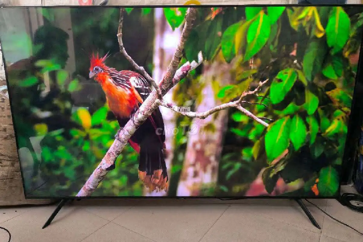 Samsung 65TU8000 - Full box1